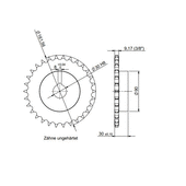 Windhager Kettenrad DIN 8192 - B 30Z 10B -1, Ø30  (5/8"x3/8") PW